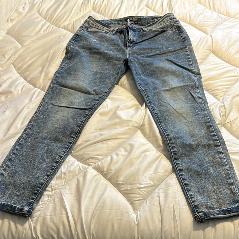 Judy Blue Skinny Jeans Classic Blue